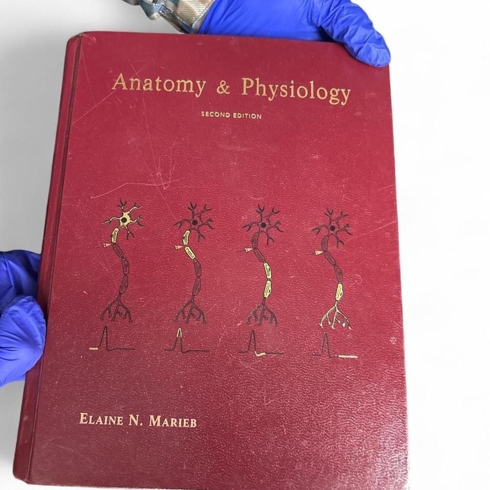 Anatomy Physiology Textbook Red Hardcover Elaine Marieb Vintage Academic Large
